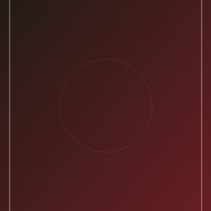 bridal-maroon-zari detail